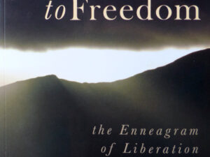 Jaxon-Bear, E. (2007). From Fixation to Freedom